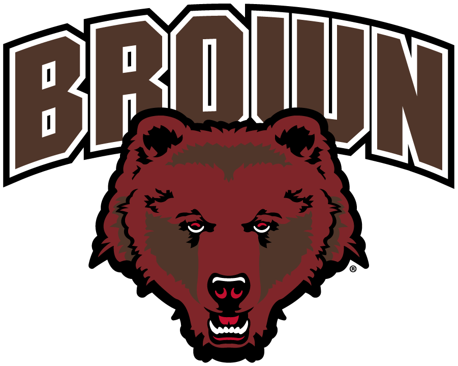 Brown Bears 2018-Pres Primary Logo DIY iron on transfer (heat transfer)